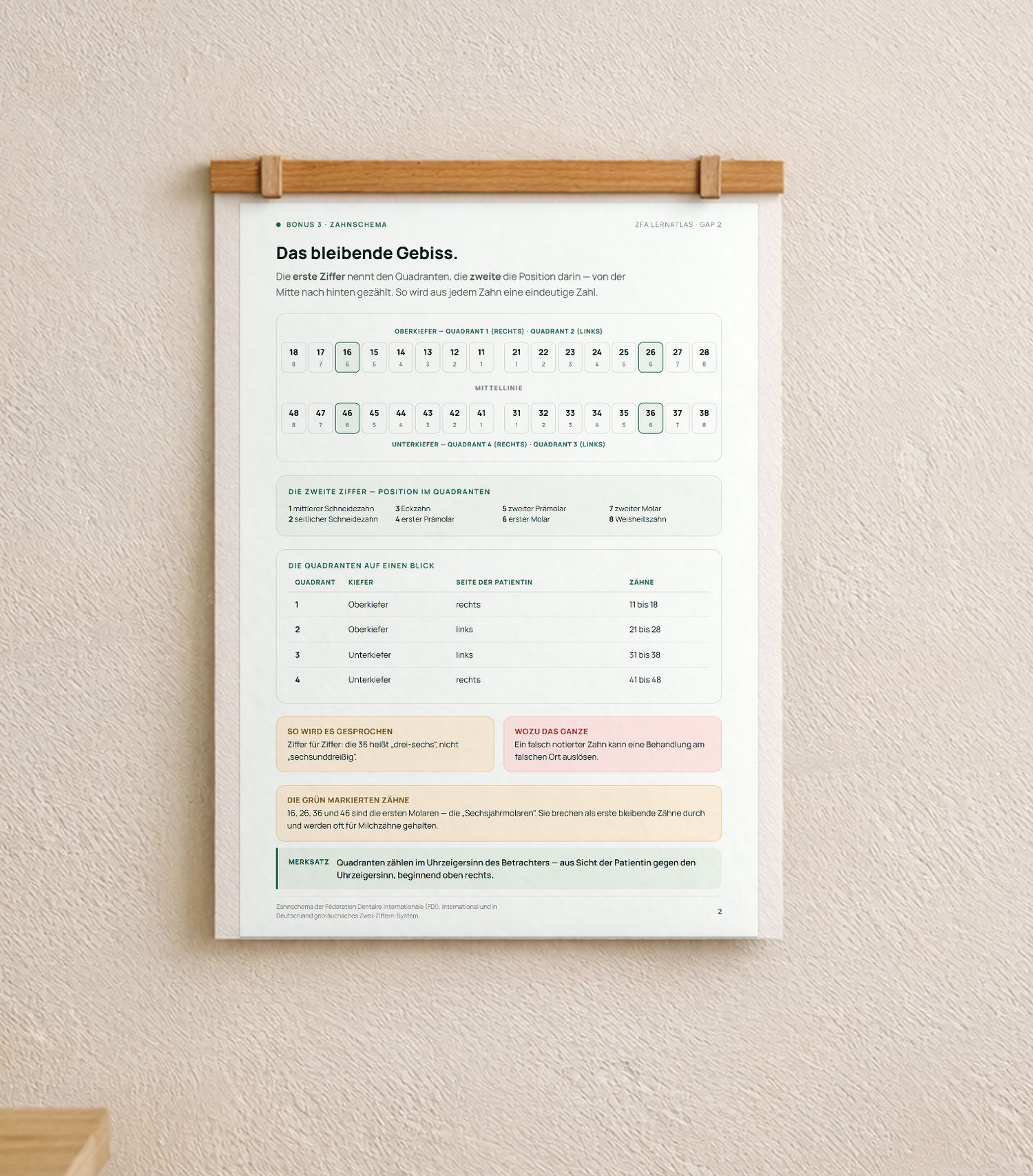 Das FDI-Zahnschema als Lernposter an der Wand